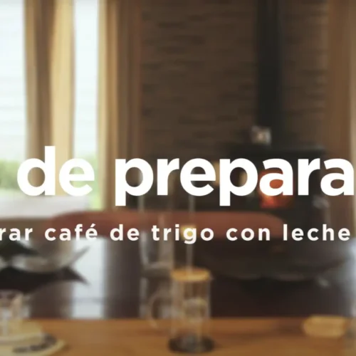 como preparar café de trigo con leche texturizada