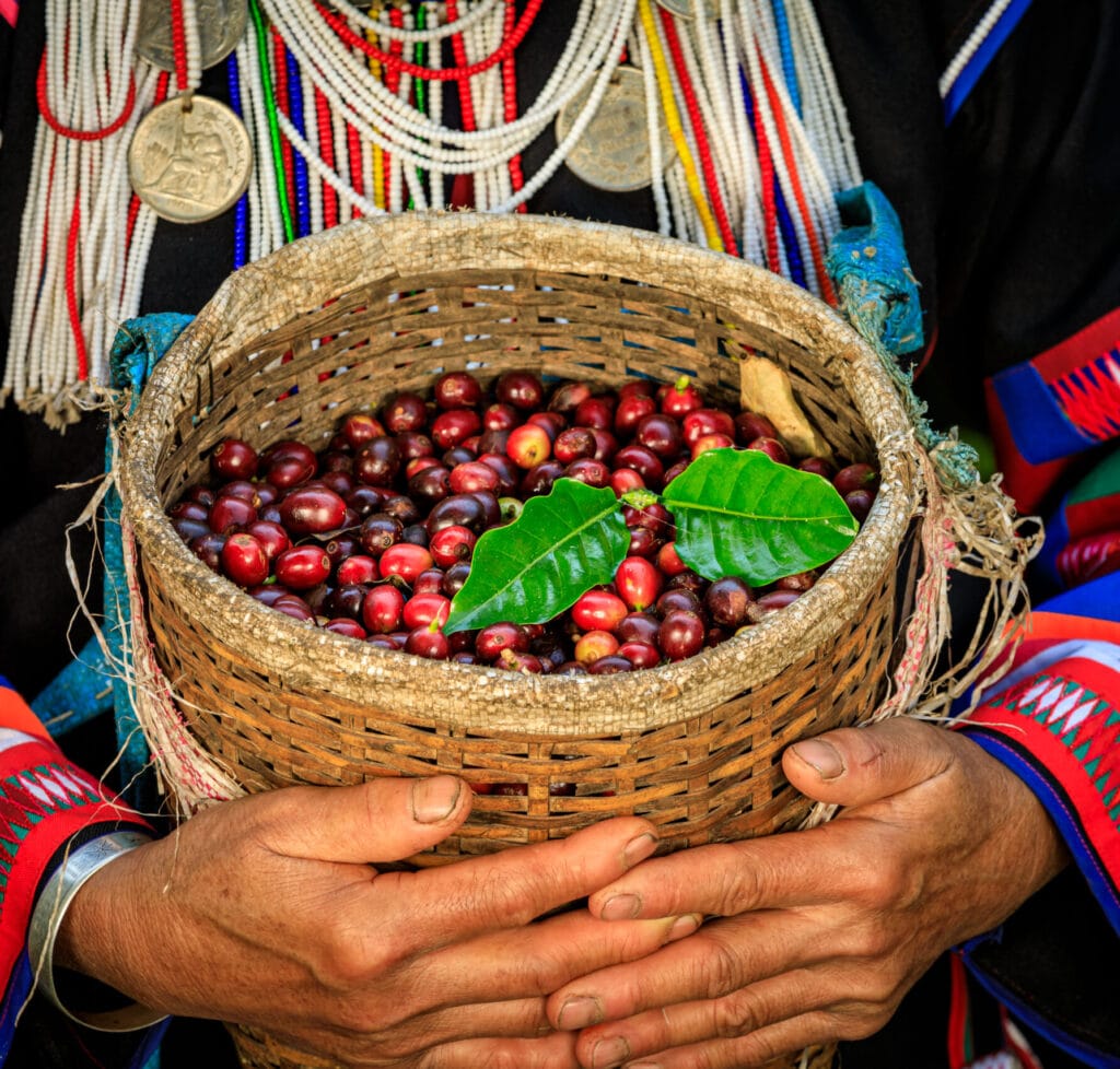 seccion media de una mujer sosteniendo granos de cafe en una canasta scaled e1759808278701